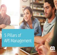 5 pilares do  gerenciamento  de APIs